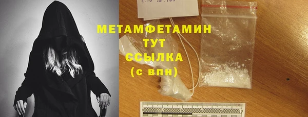 гидра Ельня