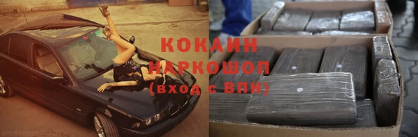 гидра Ельня