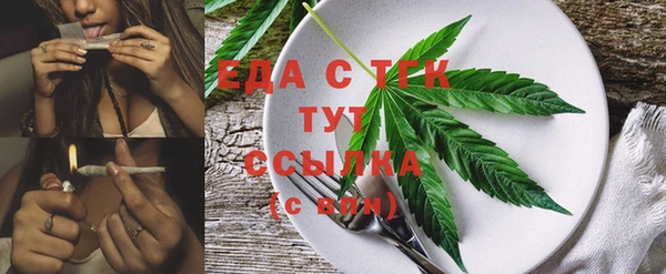 гидра Ельня