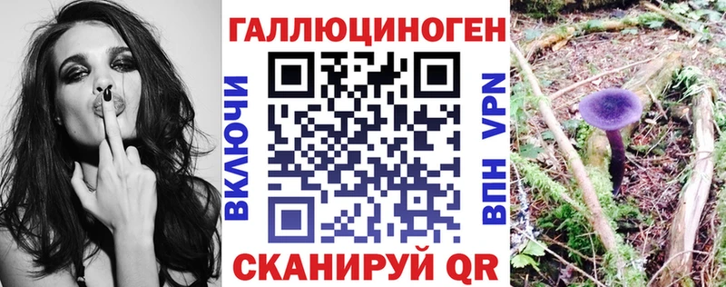 Купить закладки  Киренск  Галлюциногенные грибы MAGIC MUSHROOMS 